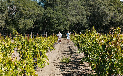 Half-Day Wine Country Excursion
